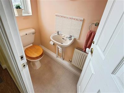 Picture 11